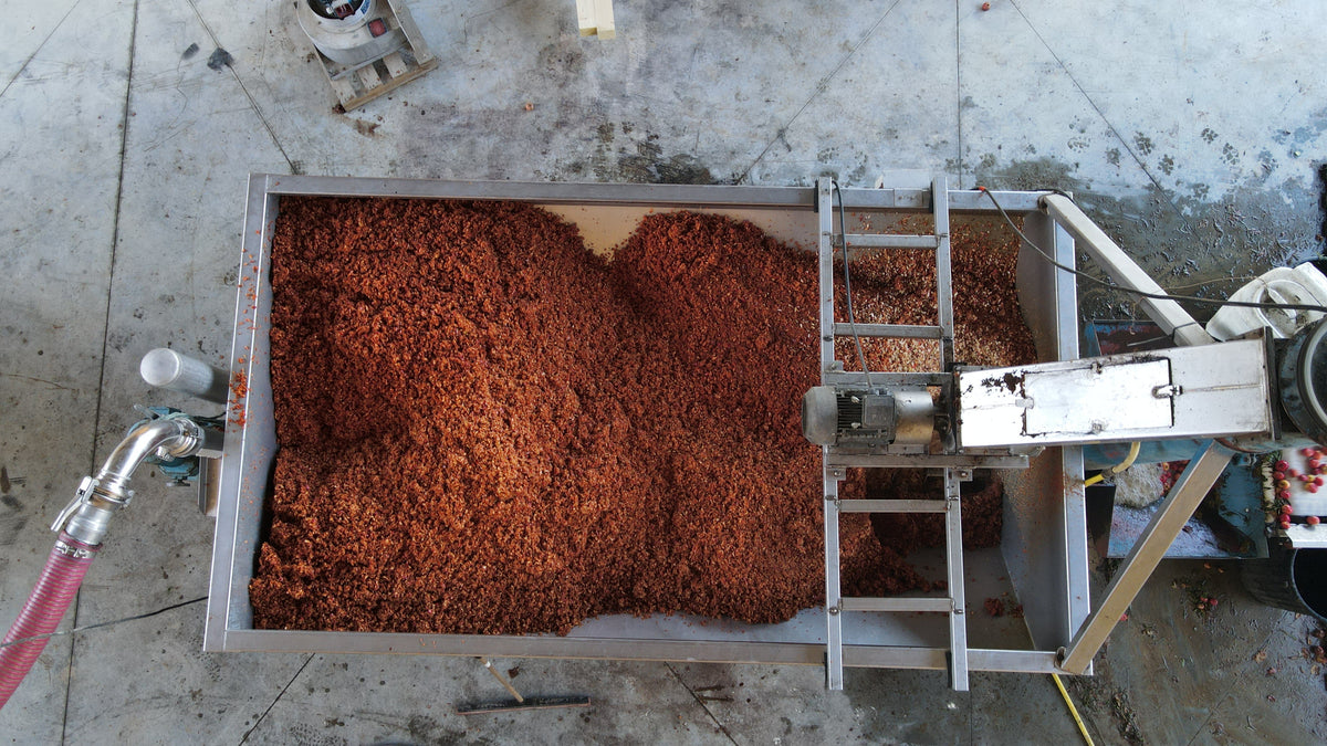 Travail de la pomme pour la fabrication de boissons