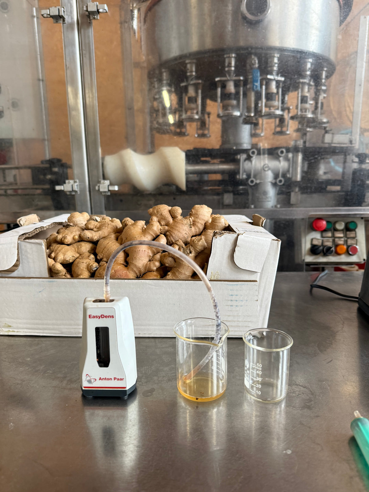 Gingembre frais et matériel de mesure lors de la préparation des boissons POUM!