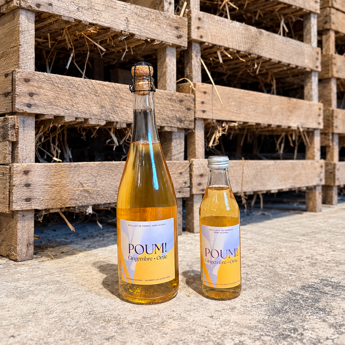 POUM! Gingembre & Ortie — bouteilles 25 cl et 75 cl