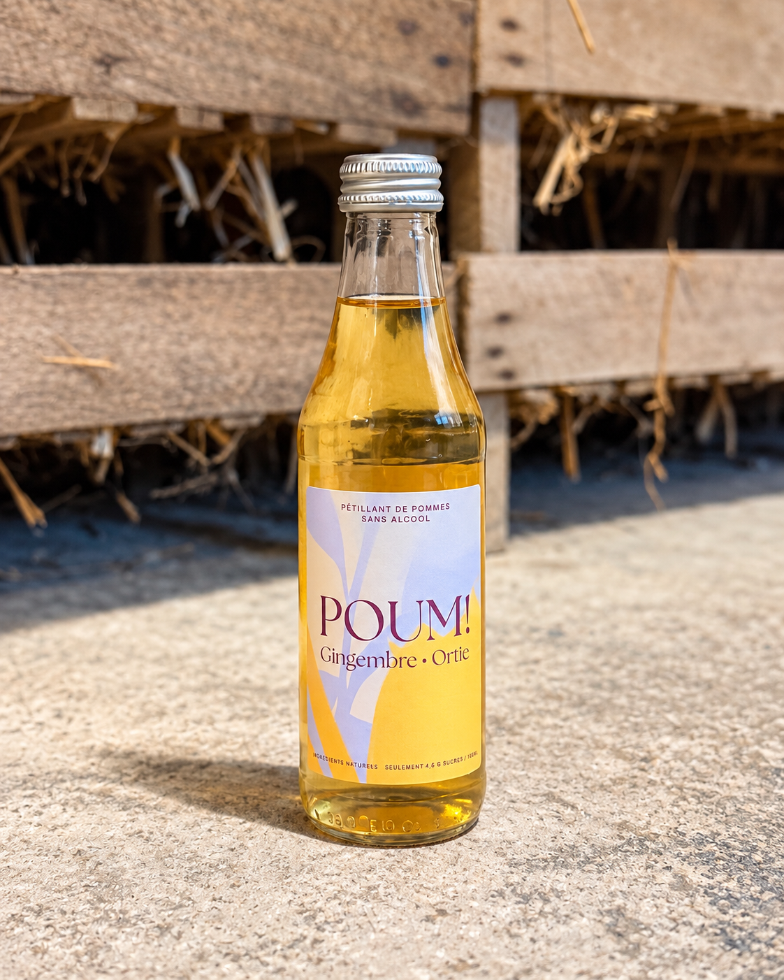 POUM! Gingembre & Ortie — bouteille 25 cl